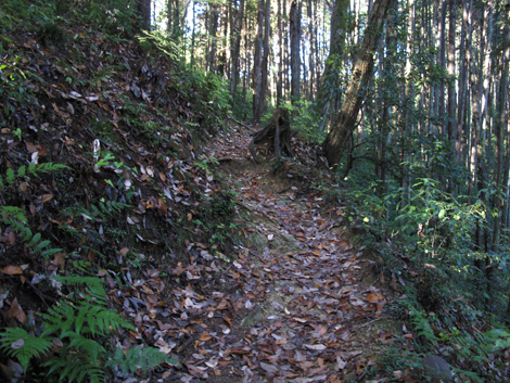 20151127hike (31)
